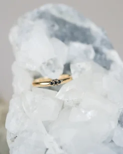 Anna Sheffield Single Cluster Black Diamond Band