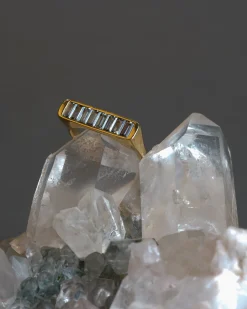Artemer River Bank Ring