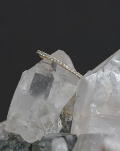 Asrai Garden X Dallas Maynard Diamonds Are Forever 1.5Mm Eternity Band
