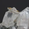 Asrai Garden X Dallas Maynard Diamonds Are Forever 2.5Mm Eternity Band