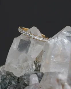 Asrai Garden X Dallas Maynard Diamonds Are Forever 2.5Mm Eternity Band