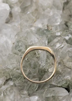 Claus Petite Olive Branch Signet