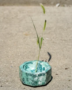 Concrete Cat Pico Bowl