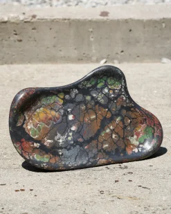 Concrete Cat Wavy Tray
