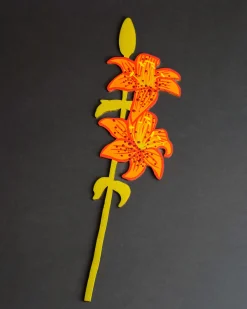 Cosmic Peace Studio Forever Flower Asiatic Lily