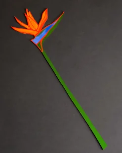 Cosmic Peace Studio Forever Flower Bird Of Paradise
