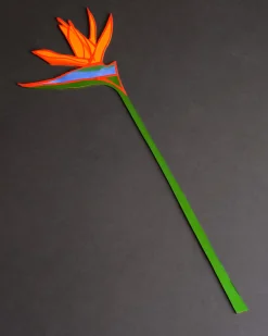 Cosmic Peace Studio Forever Flower Bird Of Paradise