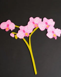 Cosmic Peace Studio Forever Flower Phalaenopsis Orchid