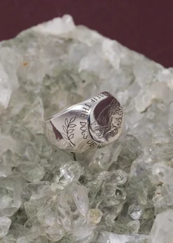 Digby & Iona Dogs Of War Signet