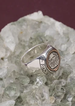 Digby & Iona Ouroboros Signet