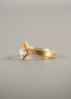 Dmd Metal Bhumi Ring