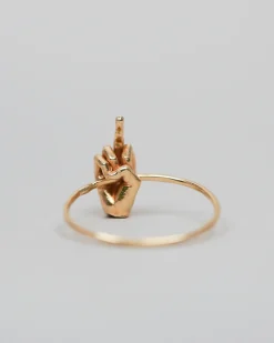 Fiat Lux Fu Ring