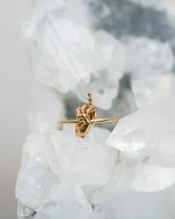 Fiat Lux Fu Ring