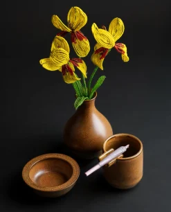 Houseplant Ashtray Set By Seth