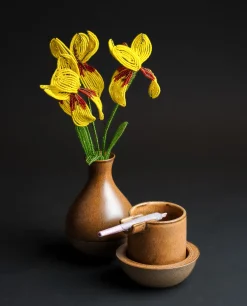 Houseplant Ashtray Set By Seth