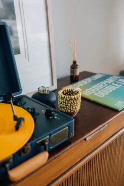 Houseplant Gloopy Ashtray By Seth