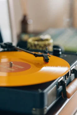 Houseplant Vinyl Double Lp Party Album