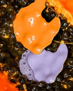 Joanna Laura Constantine Wave Double Face Earrings Lavender & Orange