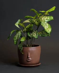 Rami Kim Face Pot Set
