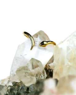 Rokosz Open Snake Ring