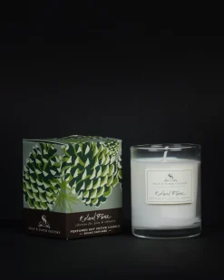 Soap & Paper Factory Roland Pine Candle