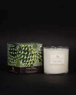 Soap & Paper Factory Roland Pine Candle