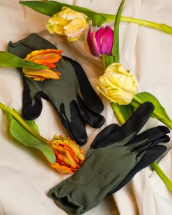 The Floral Society Garden Kit