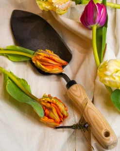 The Floral Society Garden Kit